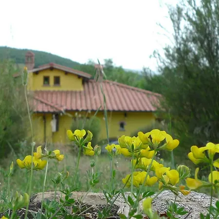 Holiday home Maison Chianti *